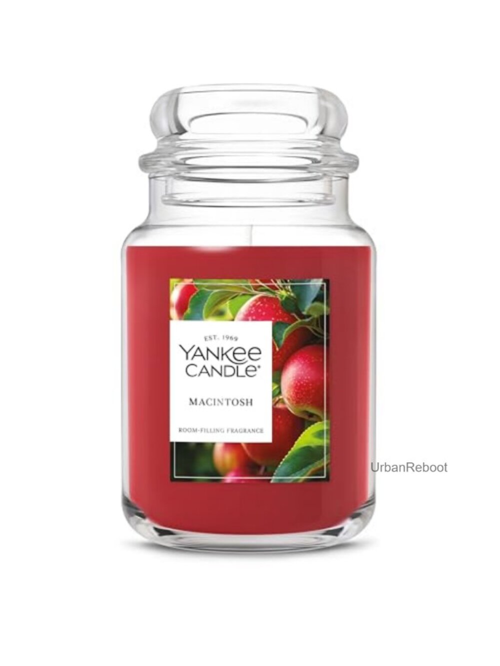 Large Macintosh Scented Jar Candle 150 Hour Burn Apple Fruit Scent